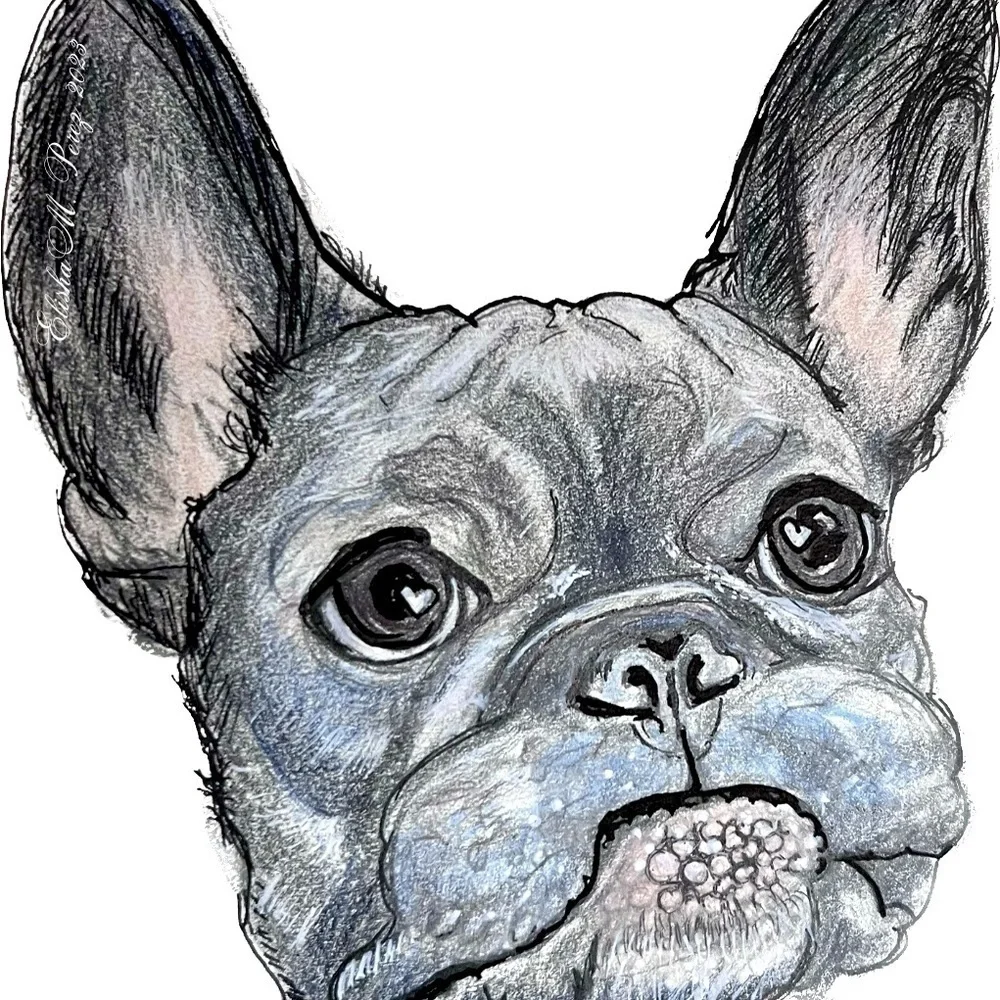 FRENCHIE Note Cards & Matching Vinyl Stickers (Series 1.1)
